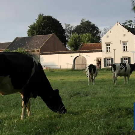 La Vache Contente * Maastricht