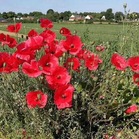 La Vache Contente Apartamento