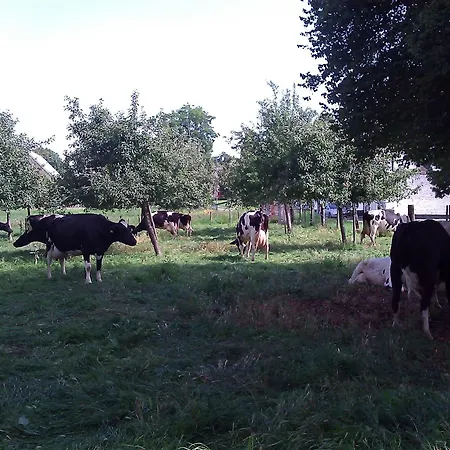 La Vache Contente