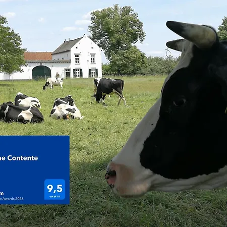 La Vache Contente Maastricht