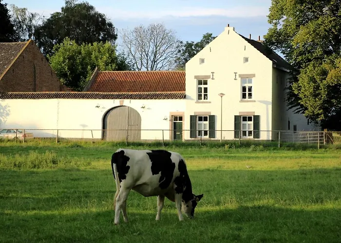 La Vache Contente Daire *