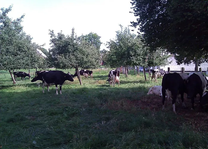 La Vache Contente